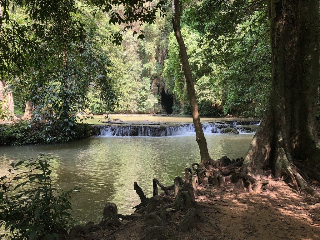 Next to our scanning location, at Thanbok Khoranee National Park.