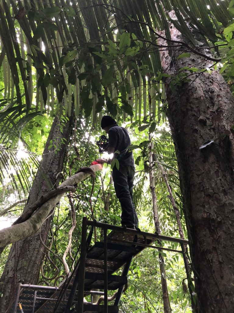 Pretty high up that tree. Thank you Fluke. Way up high 3D laser scanning with Creaform Metra.