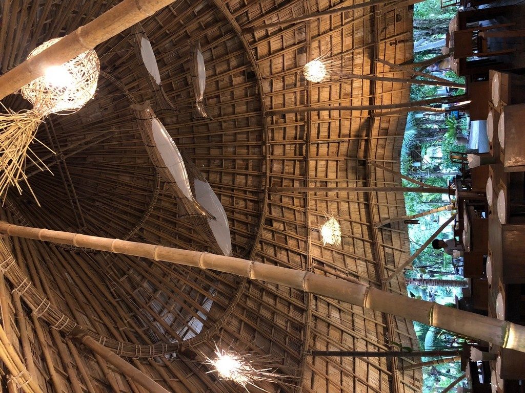 Fluke sitting by himself in the Ruen Mai restaurant. Designed to look like a fish trap.